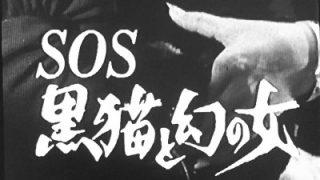バーディー大作戦 サブタイトル（1）1974年 - Gメン75・ハードボイルド